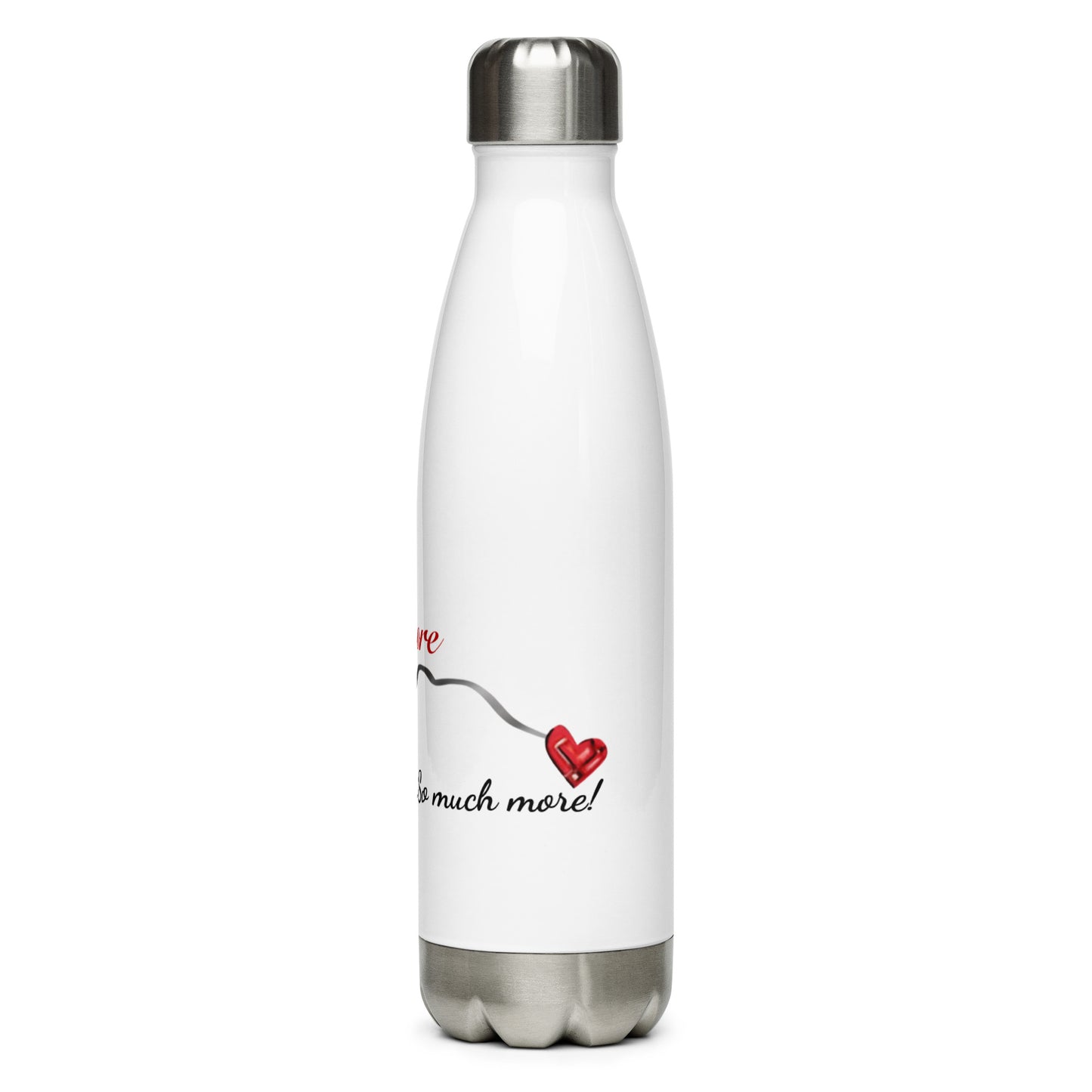 Stainless Steel Water Bottle